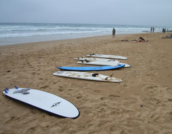 Festival of Surf