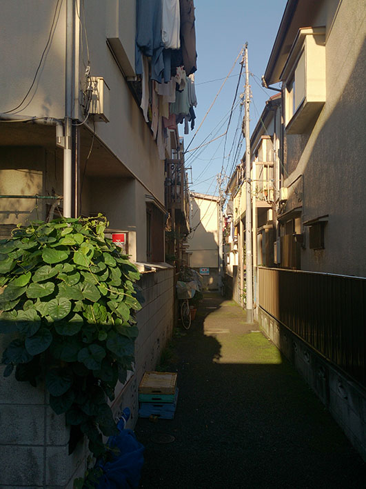 散歩2.jpg