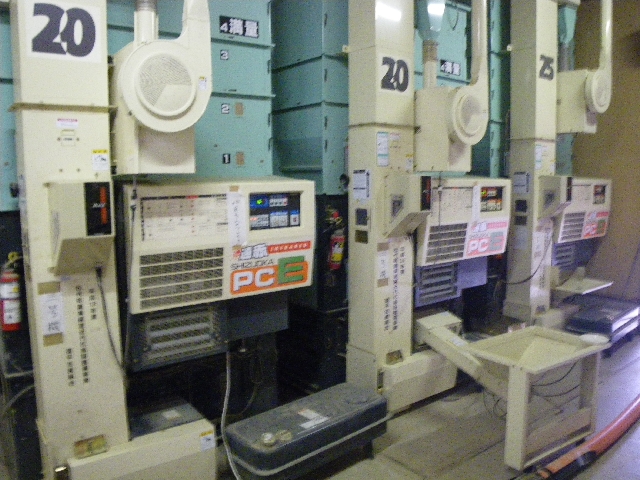 IMGP4810.jpg