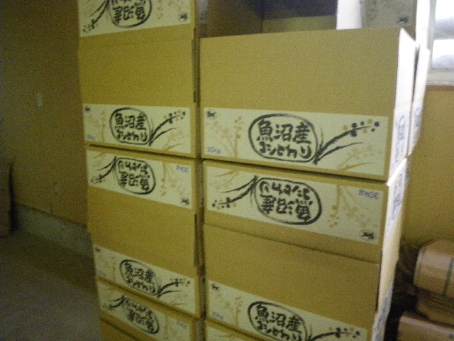 IMGP4813.jpg