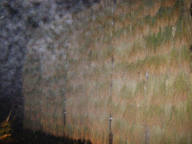 IMGP4851.jpg