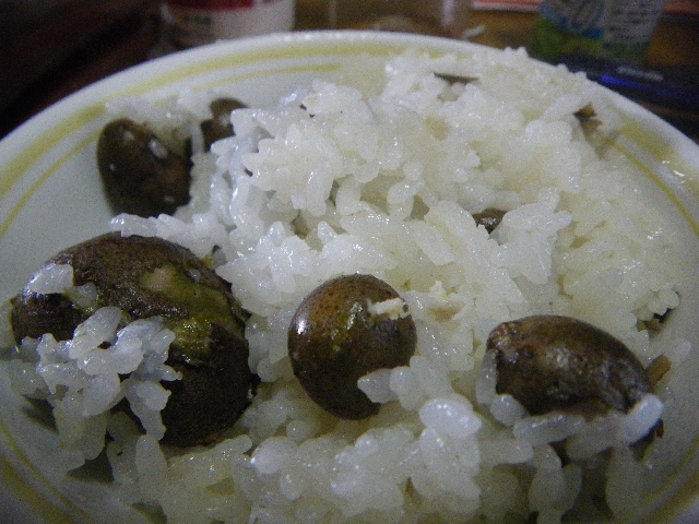 IMGP4879.jpg