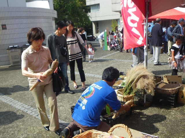 IMGP4912.jpg