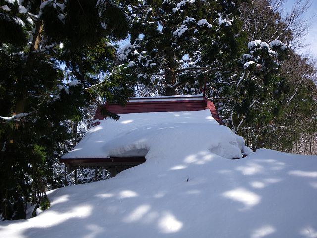 IMGP5763.jpg