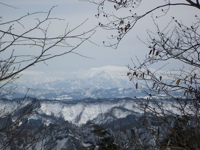IMGP5776.jpg