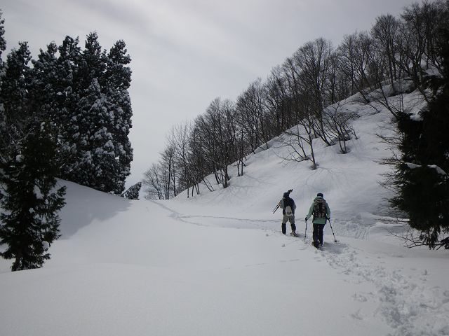 IMGP5781.jpg