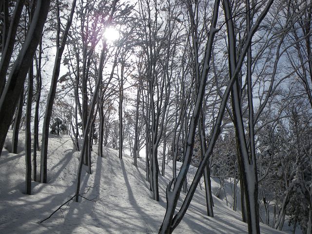 IMGP5725.jpg