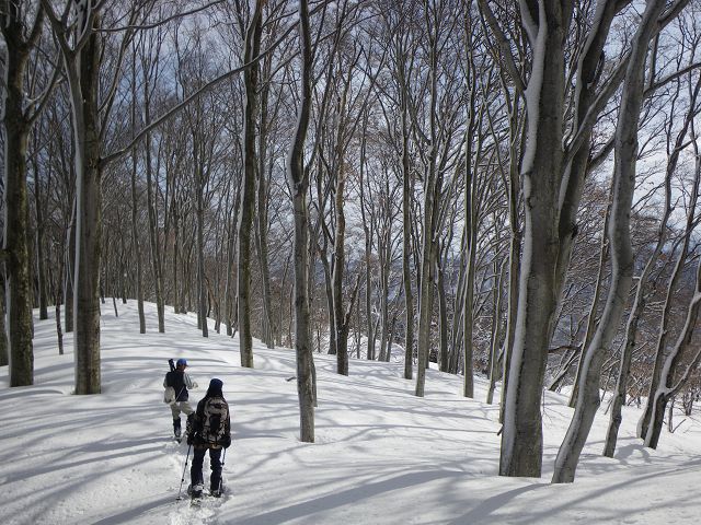 IMGP5732.jpg