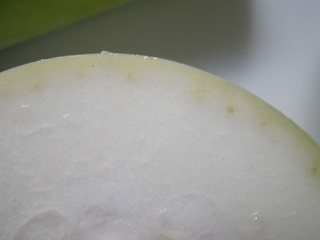 IMGP3915.jpg