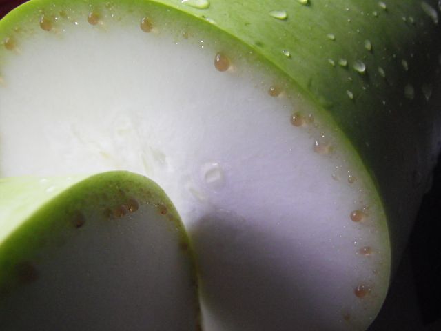 IMGP3913.jpg