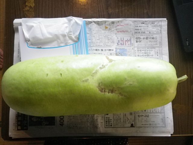 IMGP3959.jpg