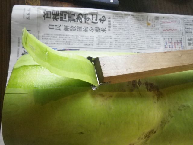 IMGP3960.jpg