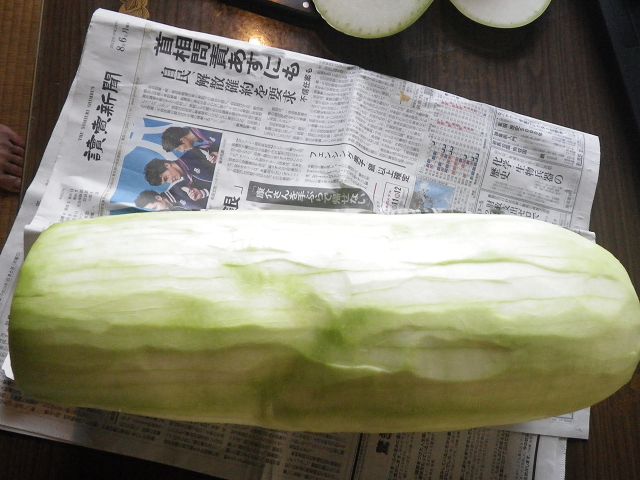 IMGP3961.jpg