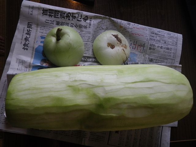 IMGP3962.jpg