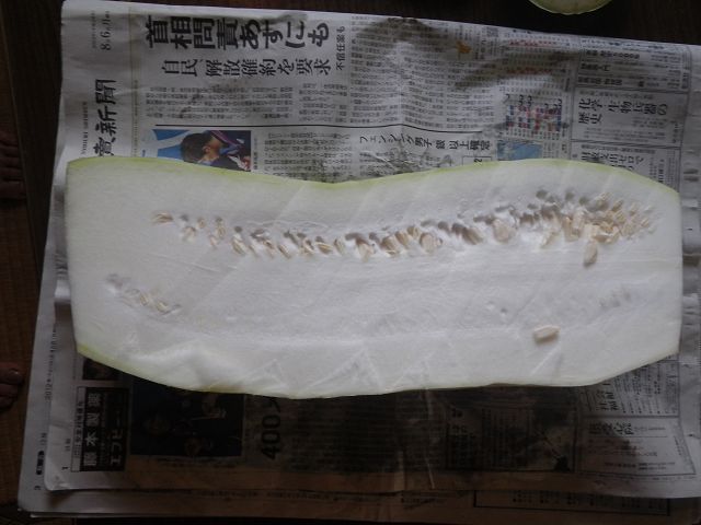IMGP3963.jpg