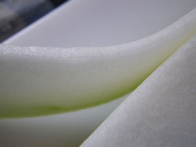 IMGP3968.jpg