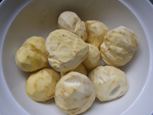 IMGP4020.jpg