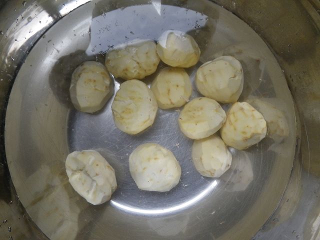 IMGP4021.jpg