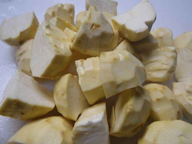 IMGP4024.jpg