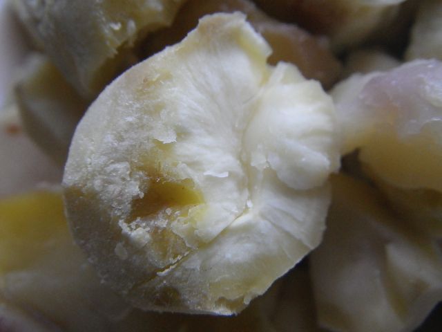 IMGP4122.jpg