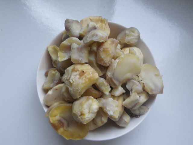 IMGP4123.jpg