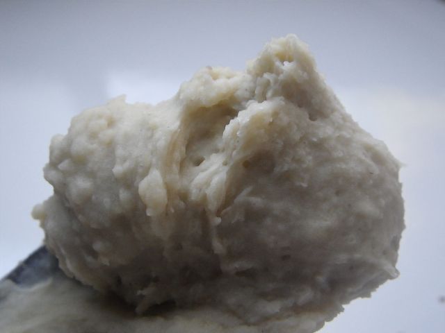 IMGP4148.jpg