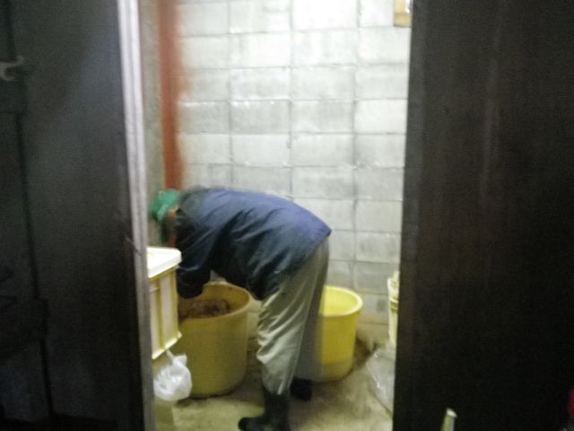 IMGP4332.jpg