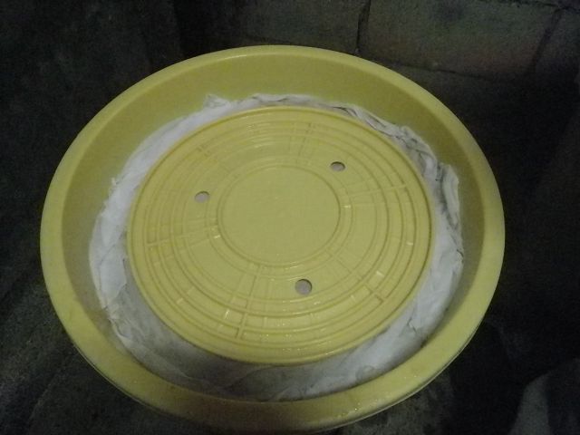 IMGP4337.jpg