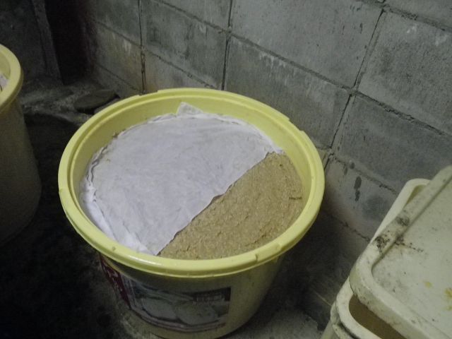 IMGP4338.jpg