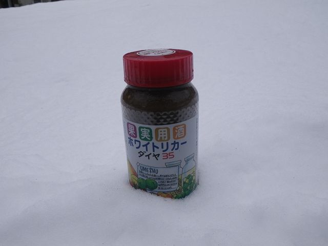 IMGP4339.jpg