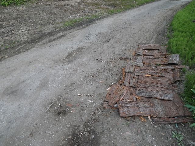 IMGP4735.jpg