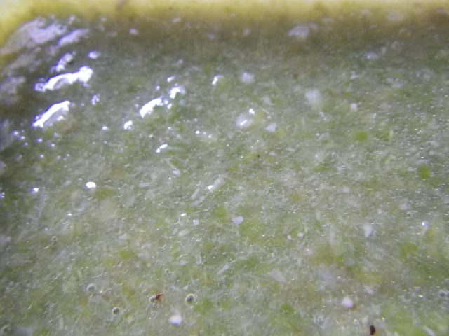 IMGP4709.jpg