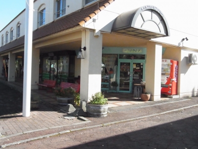 RIMG0784.JPG
