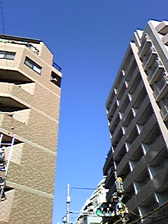 Image1189.jpg