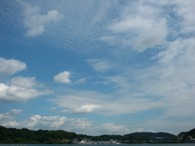 P1040621.JPG