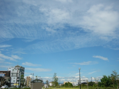 P1040628.JPG
