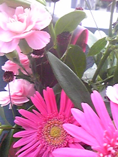 Image027.jpg