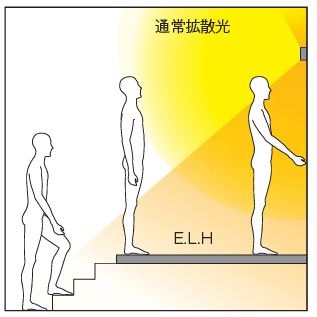 ¸¼´Ø¾ÈÌÀ¡Ê¥³¥¤¥º¥ß¡Ë£²
