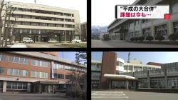 平成の大合併(チューリップ)