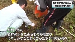 漁業関係者植樹活動(NHK)