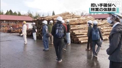 魚津で林業体験会(NHK)