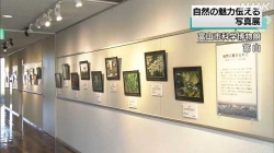 自然の魅力を伝える写真展(NHK)