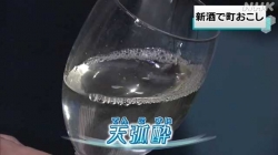 オール魚津でつくった新酒が完成(NHK)