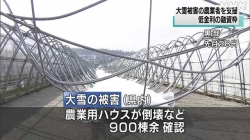 農業の大雪被害に低金利融資枠を(NHK)