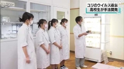 高校生がユリのウイルス除去成功(NHK)