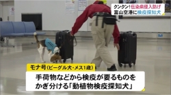 富山空港に動植物検疫探知犬(BBT)