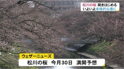 ３月22日松川ソメイヨシノ咲き始める(BBT)
