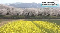 春の四重奏シャトルバス運行開始(NHK)