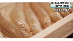魚津市食のまＰＲへ市のホームページで情報発信(NHK)