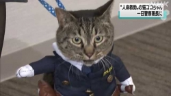 人命救助の猫富山市内で一日警察署長(NHK)